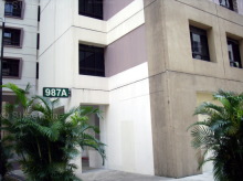 Blk 987A Jurong West Street 93 (Jurong West), HDB 4 Rooms #413212